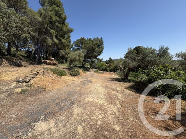 Maison &agrave; vendre - 4 pi&egrave;ces - 117 m2 - Neffies - 34 - LANGUEDOC-ROUSSILLON