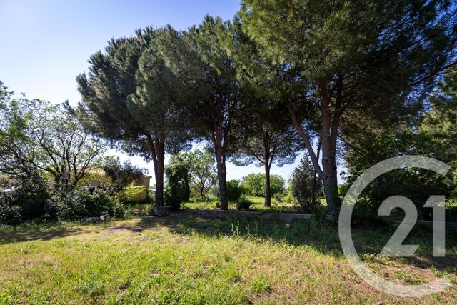 Maison &agrave; vendre - 7 pi&egrave;ces - 230 m2 - Paulhan - 34 - LANGUEDOC-ROUSSILLON