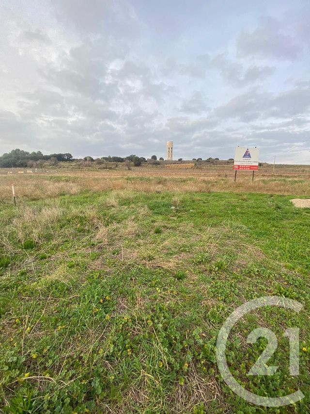 Terrain à vendre - 1620 m2 - Puilacher - 34 - LANGUEDOC-ROUSSILLON