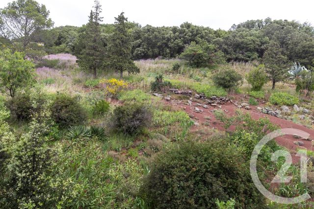 Maison à vendre - 7 pièces - 221,30 m2 - Octon - 34 - LANGUEDOC-ROUSSILLON