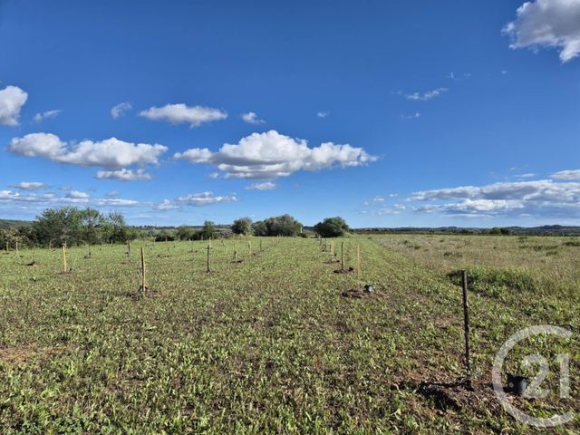 Terrain &agrave; vendre - 2719 m2 - Neffies - 34 - LANGUEDOC-ROUSSILLON