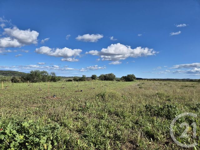 Terrain &agrave; vendre - 2719 m2 - Neffies - 34 - LANGUEDOC-ROUSSILLON